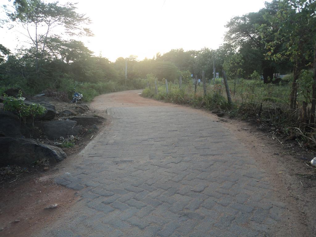 Robert Inn Dambulla Kültér fotó